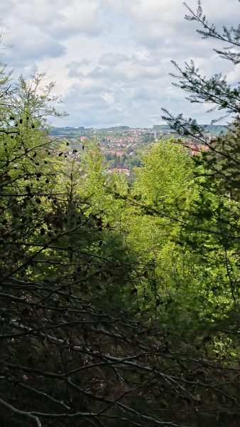Hiking tip from Rottweil: “Rote Steige to the Lemberg”.